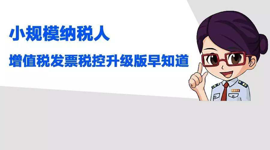小规模纳税人