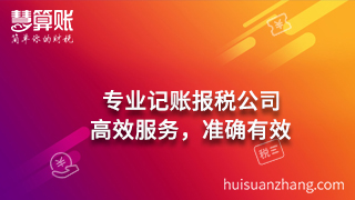 专业记账报税公司：高效服务，准确有效